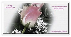 Image chosen by user