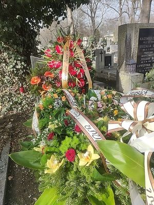 Obrazek wybrany przez użytkownika
