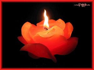 Image chosen by user