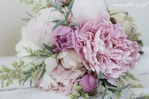 Image chosen by user