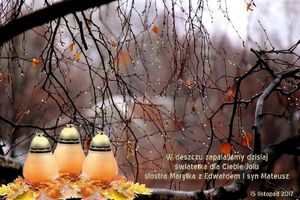 Image chosen by user