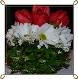 Image chosen by user