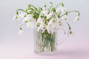 Image chosen by user