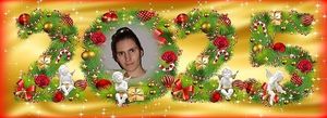 Image chosen by user