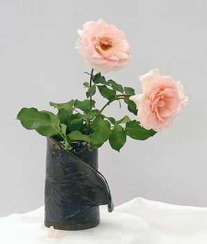 Image chosen by user