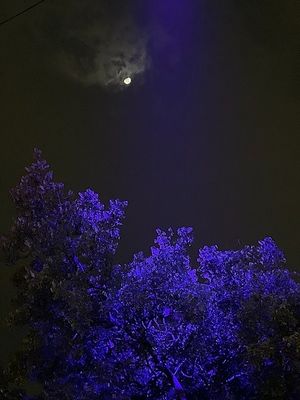 Image chosen by user