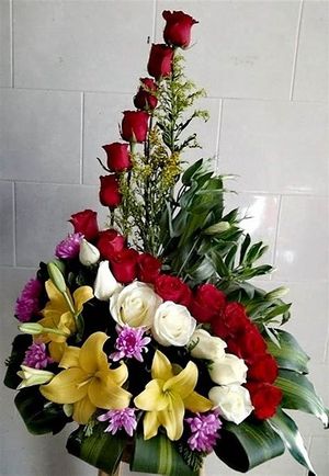 Image chosen by user