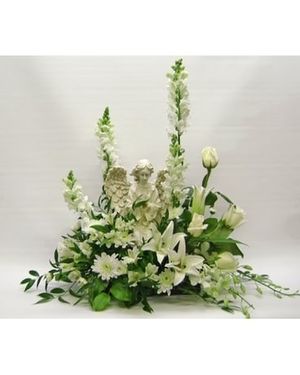 Image chosen by user