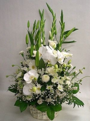 Image chosen by user
