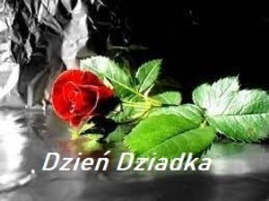 Obrazek wybrany przez użytkownika