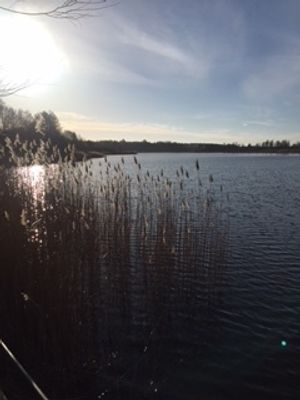 Obrazek wybrany przez użytkownika