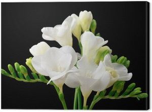 Image chosen by user