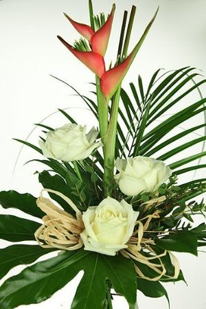 Image chosen by user