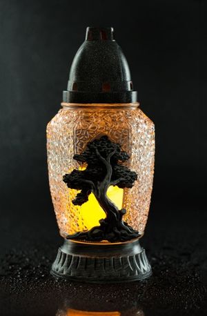 Image chosen by user