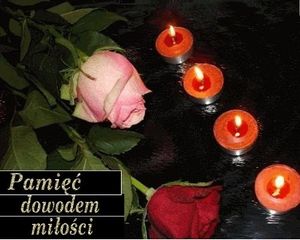 Image chosen by user