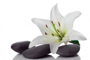 Image chosen by user