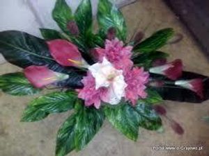 Image chosen by user