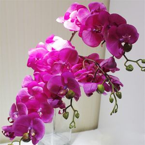 Image chosen by user