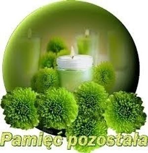 Image chosen by user