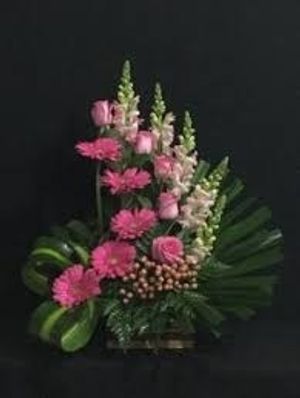 Image chosen by user