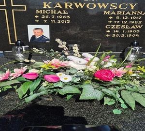 Obrazek wybrany przez użytkownika