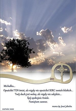 Image chosen by user