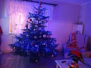 Obrazek wybrany przez użytkownika