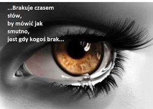 Obrazek wybrany przez użytkownika
