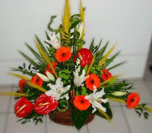 Image chosen by user
