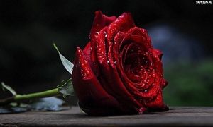 Image chosen by user