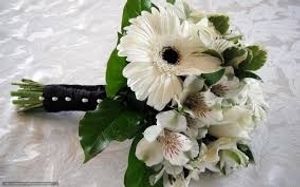 Image chosen by user