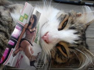 Image chosen by user
