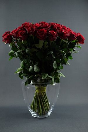 Image chosen by user