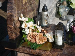 Image chosen by user