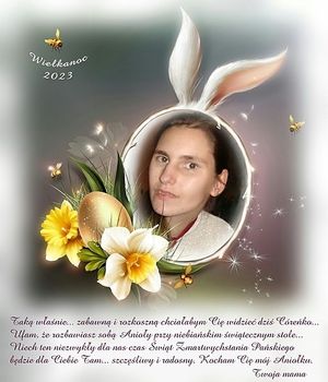 Image chosen by user
