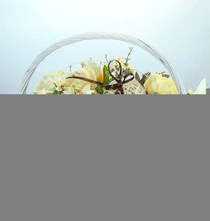 Image chosen by user