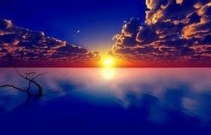 Image chosen by user