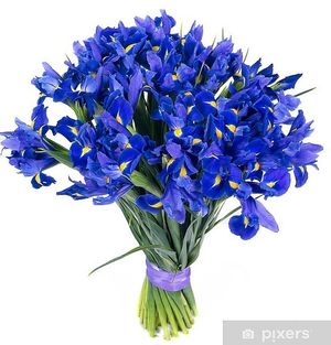 Image chosen by user