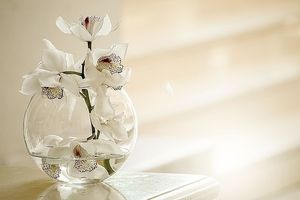 Image chosen by user