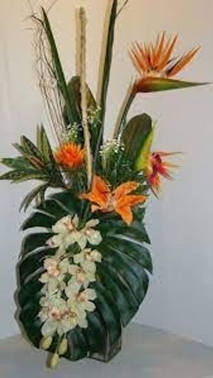 Image chosen by user