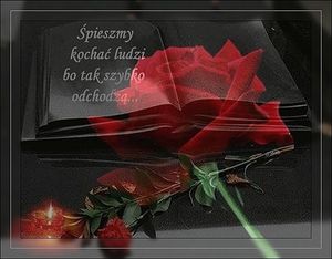 Image chosen by user