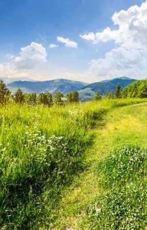 Obrazek wybrany przez użytkownika