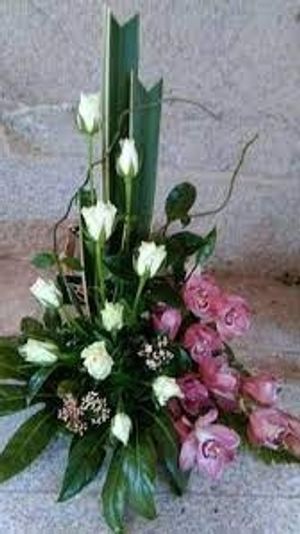 Image chosen by user