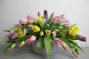 Image chosen by user