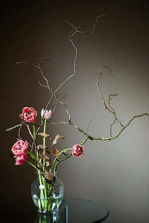Image chosen by user