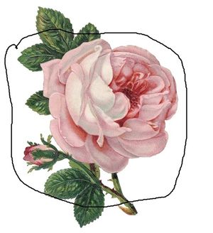 Image chosen by user