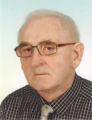 Obrazek wybrany przez użytkownika