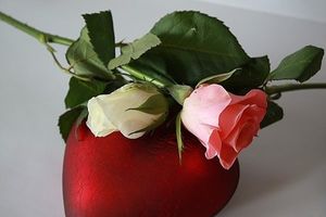 Image chosen by user