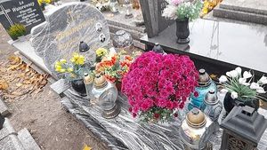 Obrazek wybrany przez użytkownika