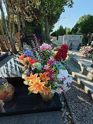 Obrazek wybrany przez użytkownika